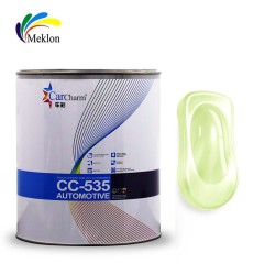 Custom Printed car paint Manufacturer