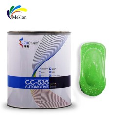 Car Repair Paint