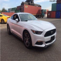 car paint
