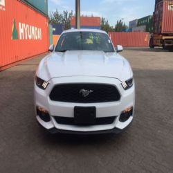 car paint