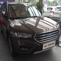 Meklon Great Wall NB Cocoa Brown Finished Car Paint