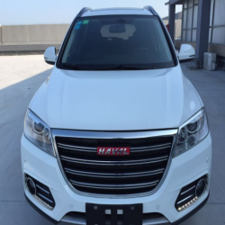 Great Wall White Pearl (Top Color) Finished Car Paint