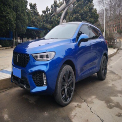 Great Wall 6Y Swarovski Finished Car Paint