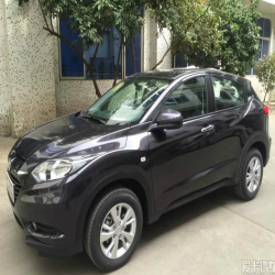 GAC Honda NH821M Rose Black Finished Car Paint