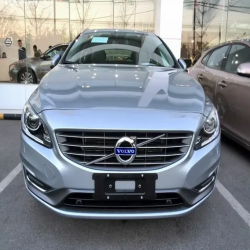 Electric Silver Finished Car Paint