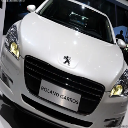 Dongfeng Peugeot KWE White Pearl Finished Car Paint