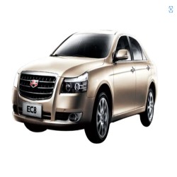 Versailles Gold Finished Car Paint
